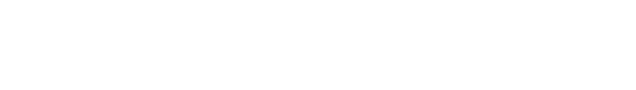 VivaLogic